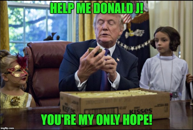 Last one in the Halloween at the White House series. | HELP ME DONALD J! YOU'RE MY ONLY HOPE! | image tagged in leia and trump,princess leia,donald trump,halloween,white house | made w/ Imgflip meme maker