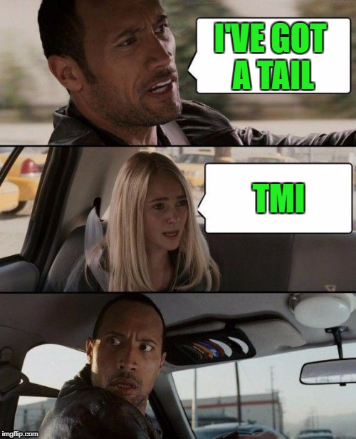 The Rock Driving Meme | I'VE GOT A TAIL TMI | image tagged in memes,the rock driving | made w/ Imgflip meme maker