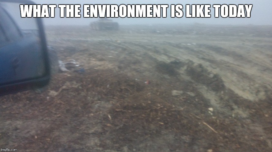 People this is true! | WHAT THE ENVIRONMENT IS LIKE TODAY | image tagged in memes,true,so true,so true memes | made w/ Imgflip meme maker