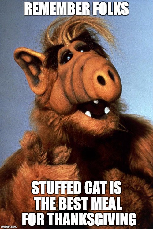 Alf | REMEMBER FOLKS; STUFFED CAT IS THE BEST MEAL  FOR THANKSGIVING | image tagged in alf | made w/ Imgflip meme maker
