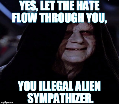YES, LET THE HATE FLOW THROUGH YOU, YOU ILLEGAL ALIEN SYMPATHIZER. | made w/ Imgflip meme maker