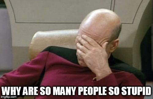 Captain Picard Facepalm | WHY ARE SO MANY PEOPLE SO STUPID | image tagged in memes,captain picard facepalm,stupid,stupidity,anti-stupid,anti-stupidity | made w/ Imgflip meme maker