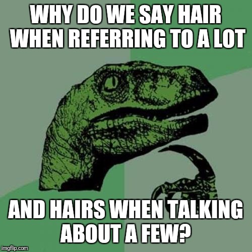 Philosoraptor Meme | WHY DO WE SAY HAIR WHEN REFERRING TO A LOT; AND HAIRS WHEN TALKING ABOUT A FEW? | image tagged in memes,philosoraptor | made w/ Imgflip meme maker