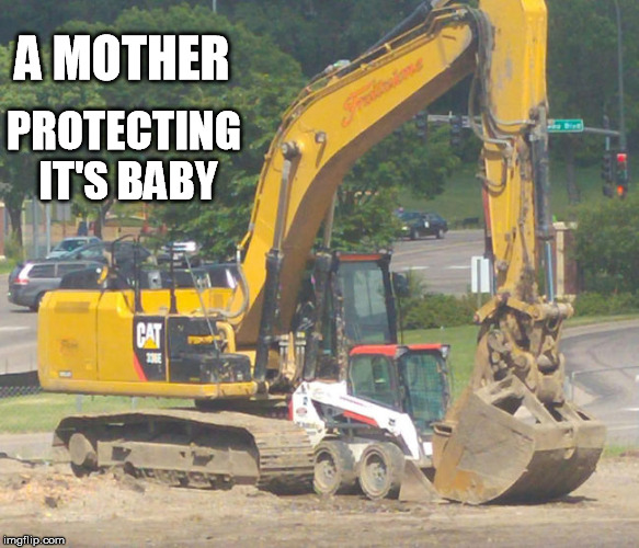 A MOTHER PROTECTING IT'S BABY | made w/ Imgflip meme maker