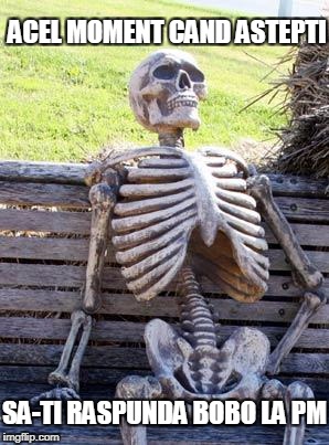 Waiting Skeleton Meme | ACEL MOMENT CAND ASTEPTI; SA-TI RASPUNDA BOBO LA PM | image tagged in memes,waiting skeleton | made w/ Imgflip meme maker