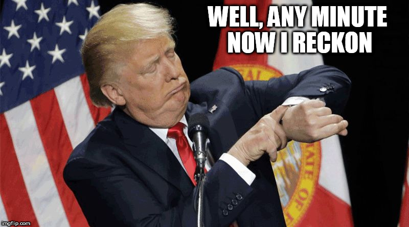 WELL, ANY MINUTE NOW I RECKON | image tagged in trump | made w/ Imgflip meme maker