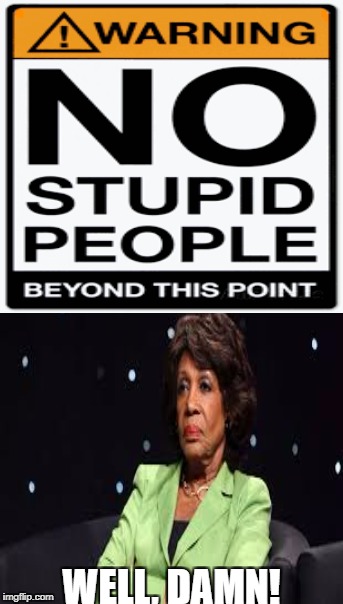 Stop the stupid. | WELL, DAMN! | image tagged in maxine waters,liberals,stupid,stupid people | made w/ Imgflip meme maker