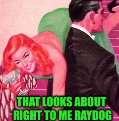 THAT LOOKS ABOUT RIGHT TO ME RAYDOG | made w/ Imgflip meme maker