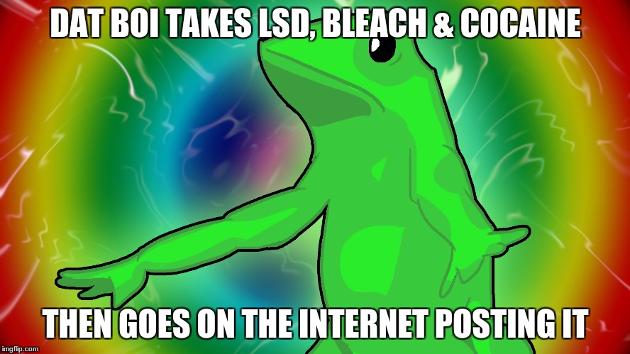 Dat Boi Drugs | DAT BOI TAKES LSD, BLEACH & COCAINE; THEN GOES ON THE INTERNET POSTING IT | image tagged in dat boi | made w/ Imgflip meme maker