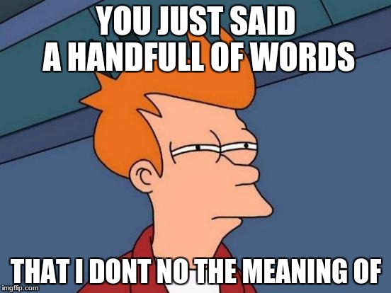 Futurama Fry | YOU JUST SAID A HANDFULL OF WORDS; THAT I DONT NO THE MEANING OF | image tagged in memes,futurama fry | made w/ Imgflip meme maker