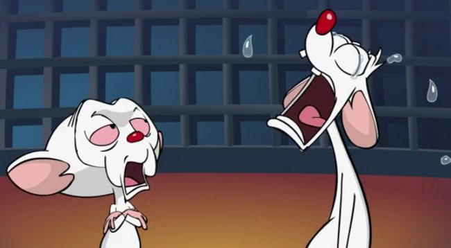 High Quality Pinky and the Brain Blank Meme Template