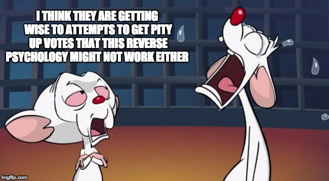 Pinky is Sad :( | I THINK THEY ARE GETTING WISE TO ATTEMPTS TO GET PITY UP VOTES THAT THIS REVERSE PSYCHOLOGY MIGHT NOT WORK EITHER | image tagged in pinky and the brain,upvotes,memes,funny memes | made w/ Imgflip meme maker