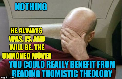 Captain Picard Facepalm Meme | NOTHING HE ALWAYS WAS, IS, AND WILL BE. THE UNMOVED MOVER YOU COULD REALLY BENEFIT FROM READING THOMISTIC THEOLOGY | image tagged in memes,captain picard facepalm | made w/ Imgflip meme maker