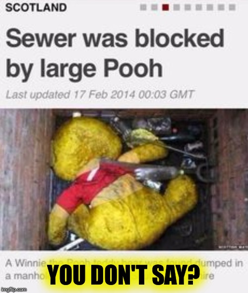 First Sewer Problems | YOU DON'T SAY? | image tagged in memes,winnie the pooh,pooh,sewer,first world problems | made w/ Imgflip meme maker