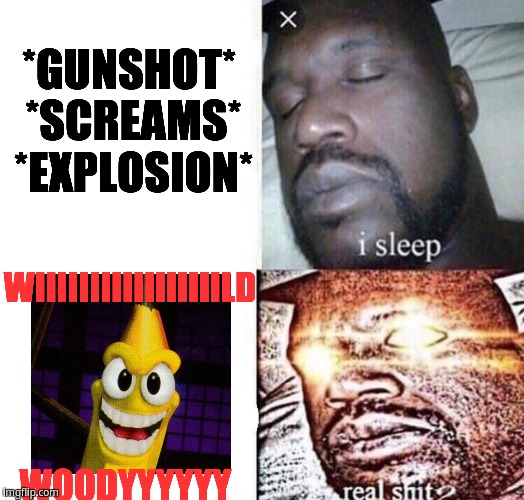 I sleep real shit: Wild Woody | *GUNSHOT* *SCREAMS* *EXPLOSION*; WIIIIIIIIIIIIIIIIILD; WOODYYYYYY | image tagged in i sleep,real shit | made w/ Imgflip meme maker
