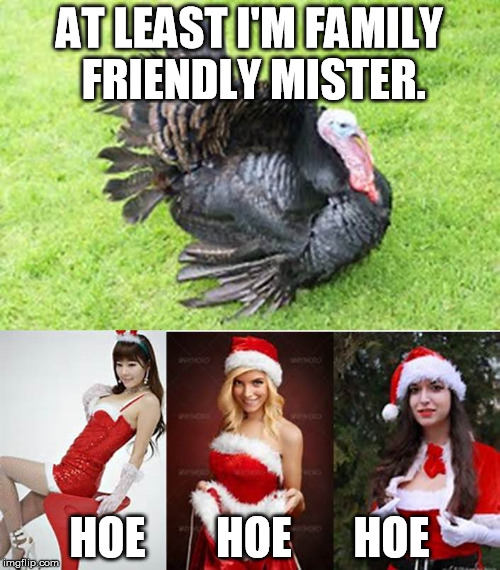 Thanksgiving:  The family friendly holicay | AT LEAST I'M FAMILY FRIENDLY MISTER. HOE        HOE       HOE | image tagged in memes,thanksgiving,christmas,hoe hoe hoe,santa claus | made w/ Imgflip meme maker