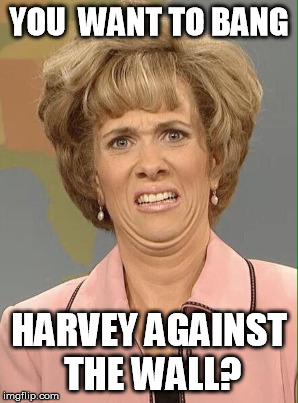 YOU  WANT TO BANG HARVEY AGAINST THE WALL? | made w/ Imgflip meme maker