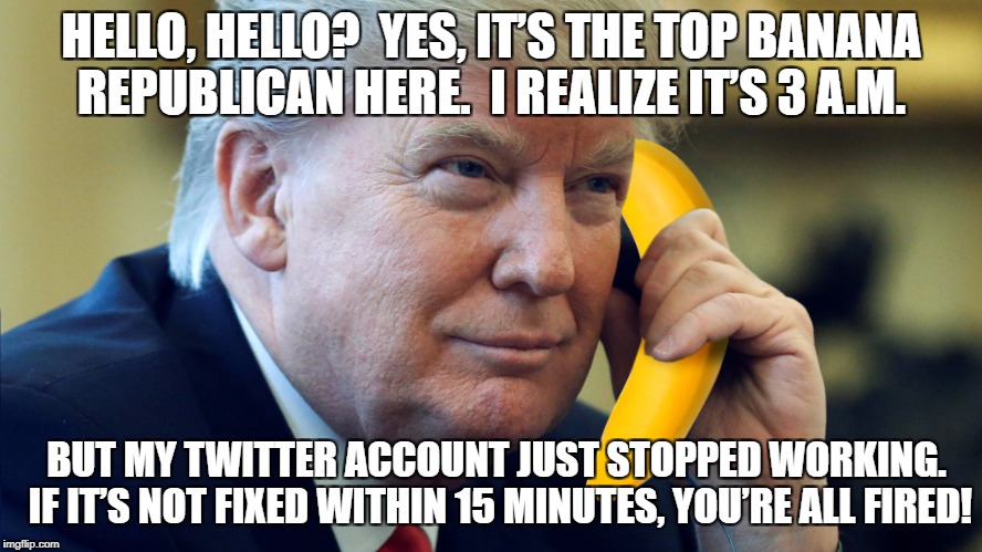 Top Banana Republican | HELLO, HELLO?  YES, IT’S THE TOP BANANA REPUBLICAN HERE.  I REALIZE IT’S 3 A.M. BUT MY TWITTER ACCOUNT JUST STOPPED WORKING.  IF IT’S NOT FIXED WITHIN 15 MINUTES, YOU’RE ALL FIRED! | image tagged in donald trump | made w/ Imgflip meme maker