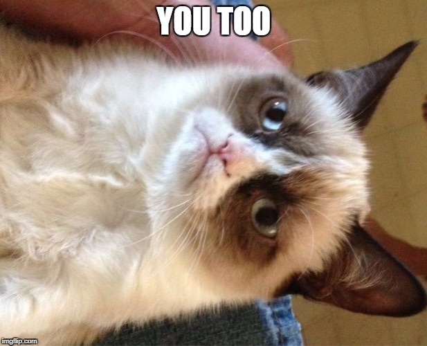 Grumpy Cat Meme | YOU TOO | image tagged in memes,grumpy cat,animal | made w/ Imgflip meme maker