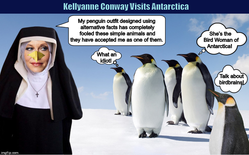 Kellyanne Conway Visits Antarctica | image tagged in kellyanne conway,donald trump,alternative facts,penguins,funny,memes | made w/ Imgflip meme maker