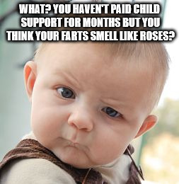 Skeptical Baby | WHAT? YOU HAVEN'T PAID CHILD SUPPORT FOR MONTHS BUT YOU THINK YOUR FARTS SMELL LIKE ROSES? | image tagged in memes,skeptical baby | made w/ Imgflip meme maker