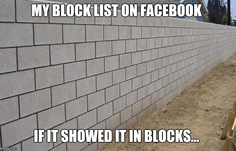 MY BLOCK LIST ON FACEBOOK; IF IT SHOWED IT IN BLOCKS... | image tagged in futurama fry,funny memes,the most interesting man in the world,kermit the frog | made w/ Imgflip meme maker