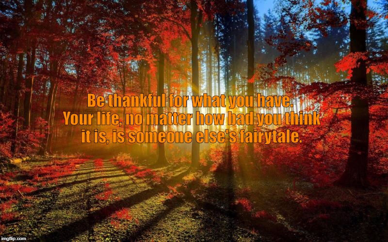 fall trees | Be thankful for what you have. Your life, no matter how bad you think it is, is someone else's fairytale. | image tagged in fall trees | made w/ Imgflip meme maker