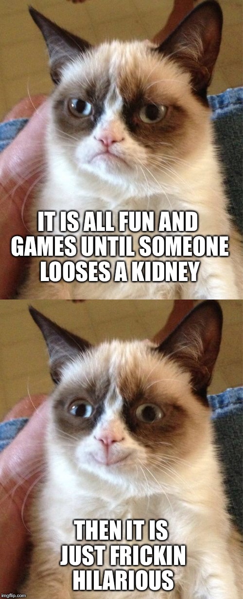IT IS ALL FUN AND GAMES UNTIL SOMEONE LOOSES A KIDNEY THEN IT IS JUST FRICKIN HILARIOUS | made w/ Imgflip meme maker