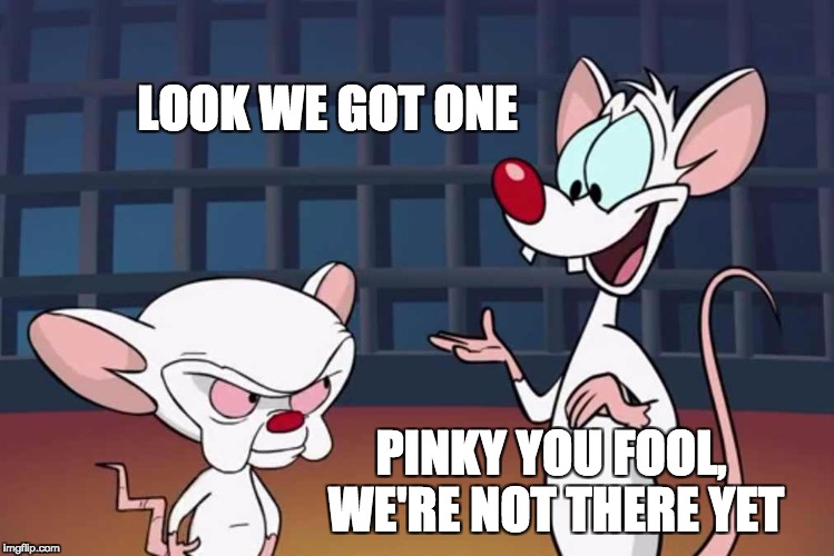 Pinky and the Brain | LOOK WE GOT ONE PINKY YOU FOOL, WE'RE NOT THERE YET | image tagged in pinky and the brain | made w/ Imgflip meme maker