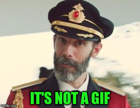 IT'S NOT A GIF | made w/ Imgflip meme maker