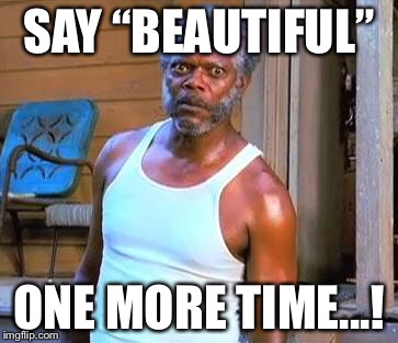Samuel L Jackson | SAY “BEAUTIFUL”; ONE MORE TIME...! | image tagged in samuel l jackson | made w/ Imgflip meme maker