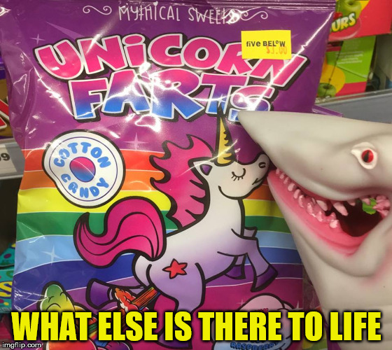 Unicorn Farts | WHAT ELSE IS THERE TO LIFE | image tagged in unicorn farts,memes,farts,unicorn,sweet | made w/ Imgflip meme maker