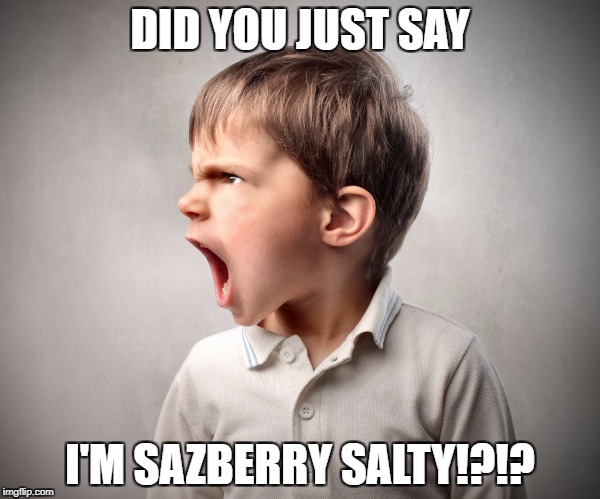 Sazberry Salty | DID YOU JUST SAY; I'M SAZBERRY SALTY!?!? | image tagged in sazberry salty | made w/ Imgflip meme maker