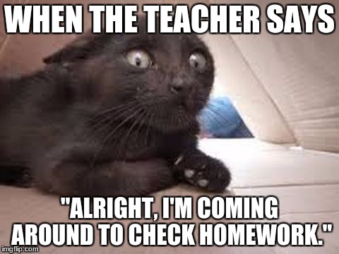 WHEN THE TEACHER SAYS; "ALRIGHT, I'M COMING AROUND TO CHECK HOMEWORK." | image tagged in oh no cat | made w/ Imgflip meme maker