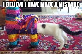 Pinata Cat | I BELIEVE I HAVE MADE A MISTAKE | image tagged in pinata cat | made w/ Imgflip meme maker