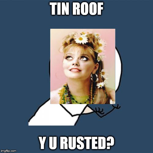 Y U No Meme | TIN ROOF; Y U RUSTED? | image tagged in memes,y u no | made w/ Imgflip meme maker