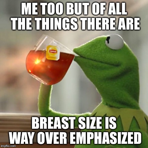 But That's None Of My Business Meme | ME TOO BUT OF ALL THE THINGS THERE ARE BREAST SIZE IS WAY OVER EMPHASIZED | image tagged in memes,but thats none of my business,kermit the frog | made w/ Imgflip meme maker