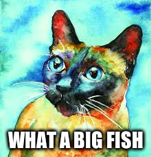 WHAT A BIG FISH | made w/ Imgflip meme maker