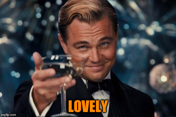 Leonardo Dicaprio Cheers Meme | LOVELY | image tagged in memes,leonardo dicaprio cheers | made w/ Imgflip meme maker