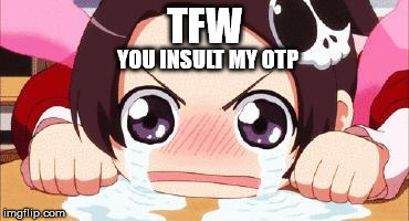 the crying anime girl | TFW; YOU INSULT MY OTP | image tagged in the crying anime girl | made w/ Imgflip meme maker