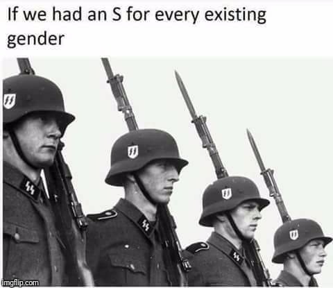 Theres only 2 | IF WE HAD AN S FOR EVERY EXISTING GENDER | image tagged in memes,nazi,hitler did nothing wrong | made w/ Imgflip meme maker