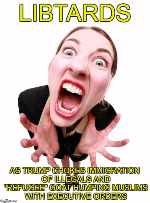 MAGA | LIBTARDS AS TRUMP CHOKES IMMIGRATION OF ILLEGALS AND "REFUGEE" GOAT HUMPING MUSLIMS WITH EXECUTIVE ORDERS | image tagged in memes,donald trump | made w/ Imgflip meme maker