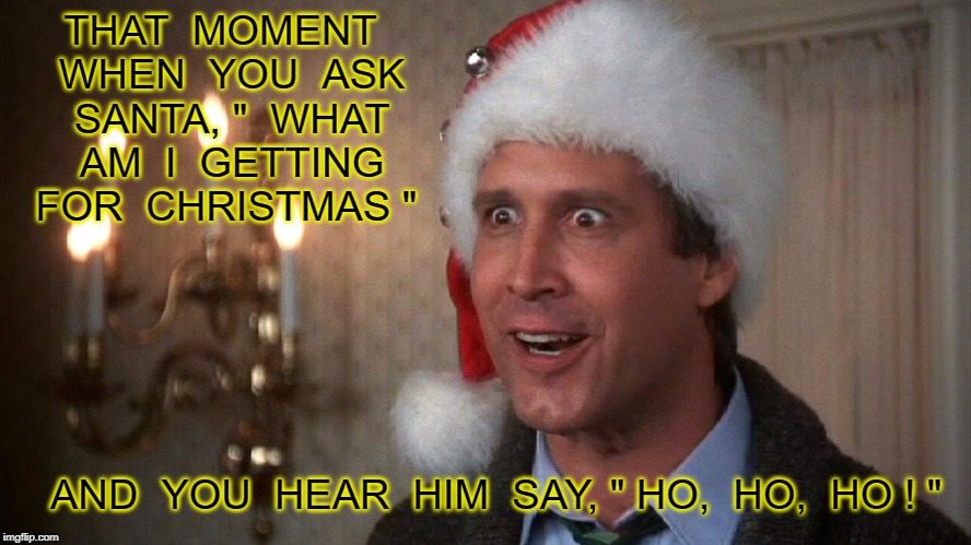 Christmas Vacation | THAT  MOMENT  WHEN  YOU  ASK  SANTA, "  WHAT  AM  I  GETTING  FOR  CHRISTMAS "; AND  YOU  HEAR  HIM  SAY, " HO,  HO,  HO ! " | image tagged in christmas vacation | made w/ Imgflip meme maker