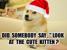 Christmas Doge | DID  SOMEBODY  SAY , " LOOK  AT  THE  CUTE  KITTEN ? | image tagged in christmas doge | made w/ Imgflip meme maker