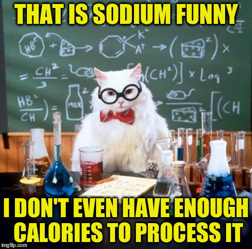 THAT IS SODIUM FUNNY I DON'T EVEN HAVE ENOUGH CALORIES TO PROCESS IT | made w/ Imgflip meme maker