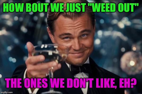 Leonardo Dicaprio Cheers Meme | HOW BOUT WE JUST "WEED OUT" THE ONES WE DON'T LIKE, EH? | image tagged in memes,leonardo dicaprio cheers | made w/ Imgflip meme maker