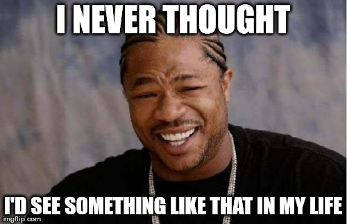 Yo Dawg Heard You Meme | I NEVER THOUGHT I'D SEE SOMETHING LIKE THAT IN MY LIFE | image tagged in memes,yo dawg heard you | made w/ Imgflip meme maker