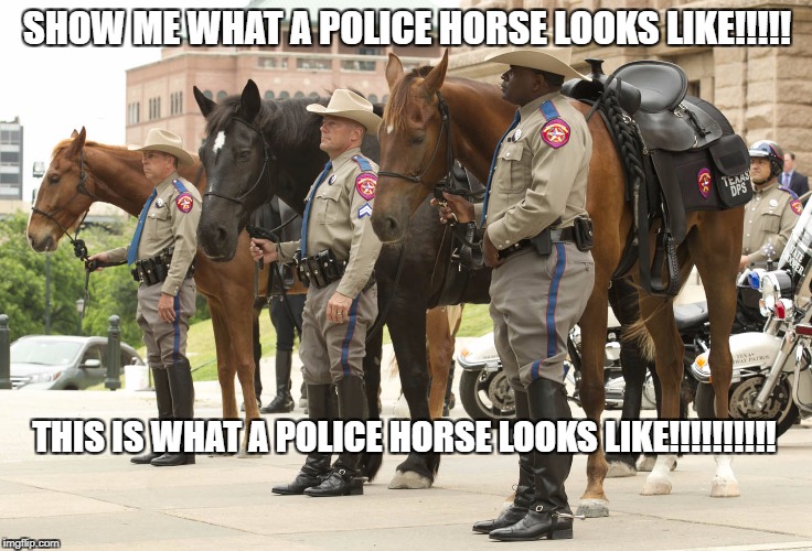 Haters make us famous  | SHOW ME WHAT A POLICE HORSE LOOKS LIKE!!!!! THIS IS WHAT A POLICE HORSE LOOKS LIKE!!!!!!!!!! | image tagged in antifa,blm,protesters,blue lives matter,texas | made w/ Imgflip meme maker