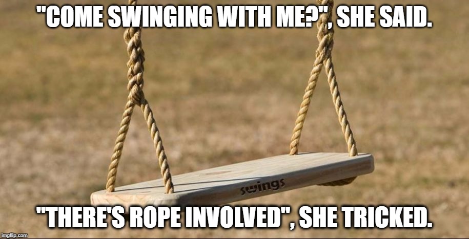 "COME SWINGING WITH ME?", SHE SAID. "THERE'S ROPE INVOLVED", SHE TRICKED. | image tagged in swing seat | made w/ Imgflip meme maker