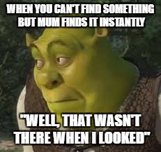 Mum's have eagle eyes | WHEN YOU CAN'T FIND SOMETHING BUT MUM FINDS IT INSTANTLY; "WELL, THAT WASN'T THERE WHEN I LOOKED" | image tagged in mum,real life,reality,looking,truth,embarrassing | made w/ Imgflip meme maker